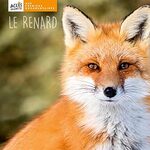 Documentaire sur le renard