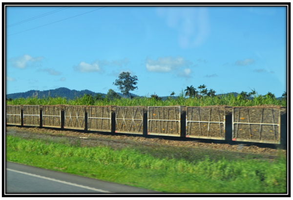 Recherche de travail à Cairns et dans les terres