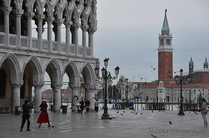 Venise : En vert et contre tout
