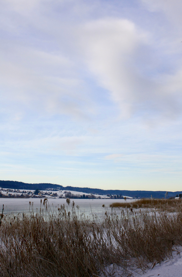 Nature (presque) morte