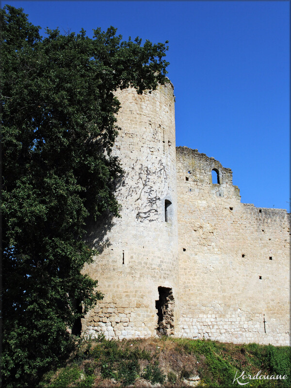 Photos du château de Budos - Entre deux mers