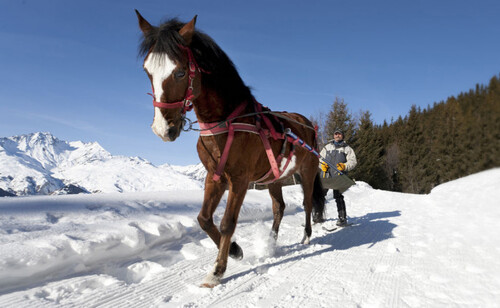 Ski-joëring (ranch El Colorado).jpg