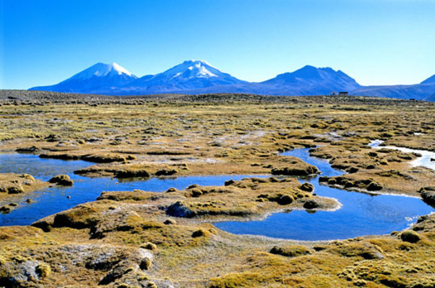 Parc de Sajama