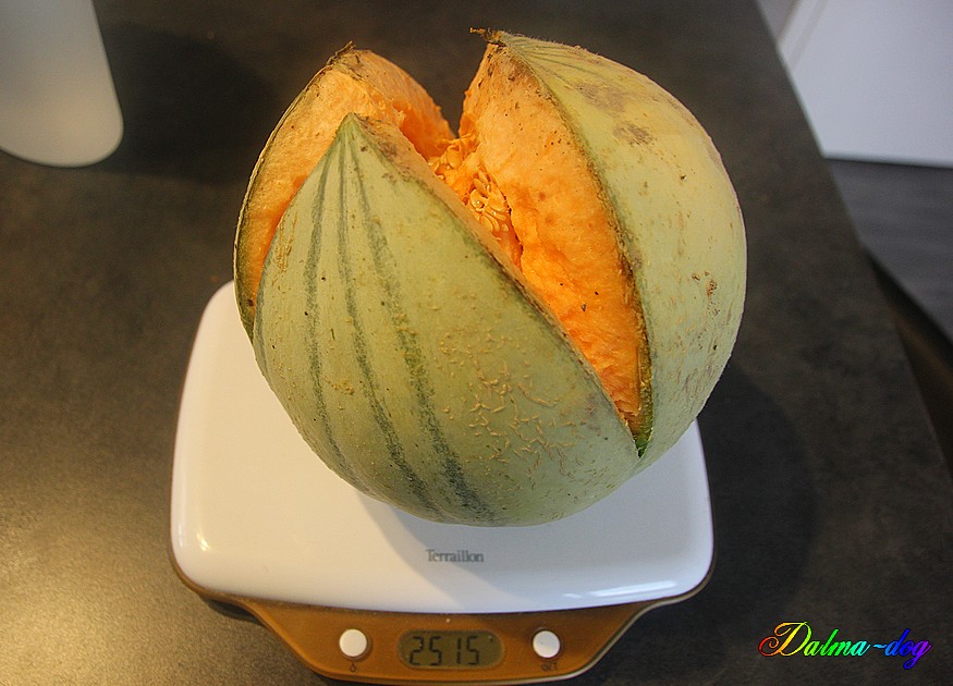 melon 2kg515