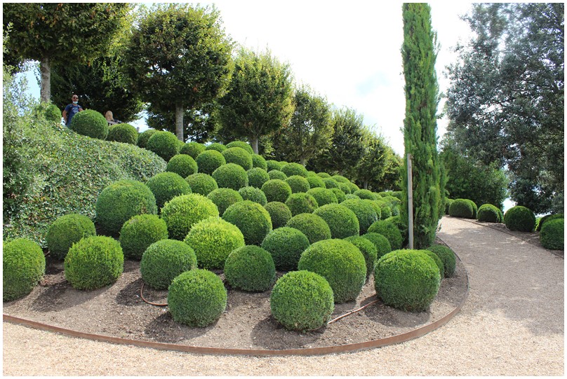Les jardins du château d'Amboise-02