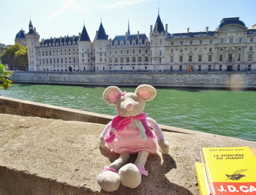 Quand Minizup'Fandango participe à une promenade sur la Seine!