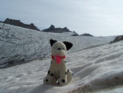 mascotte en montagne