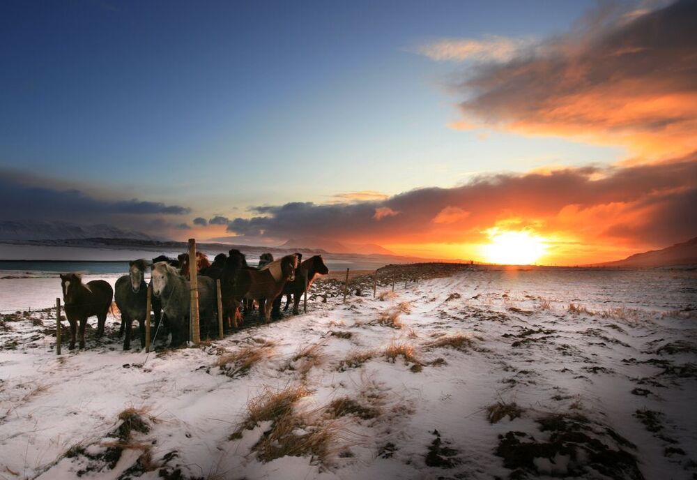 L'Islande