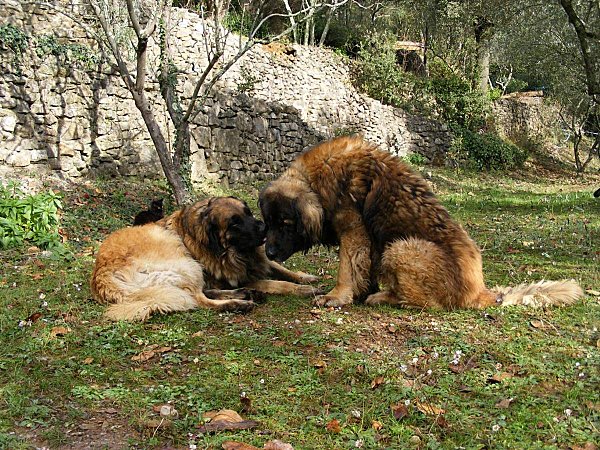 JEUX-AU-JARDIN--8-.JPG