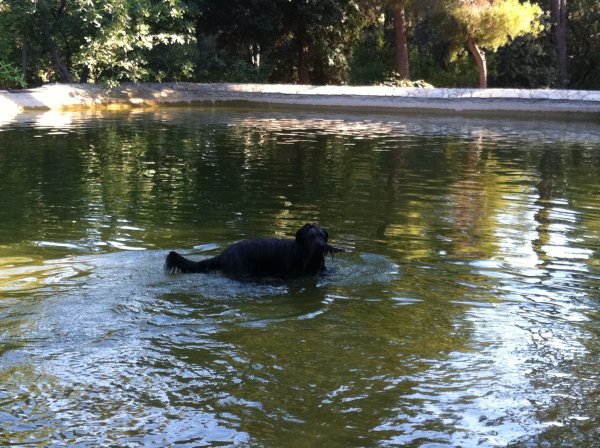 Cyssie se baigne au parc