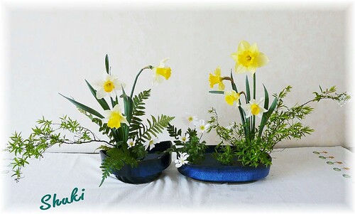 composition florale - 8-04-13