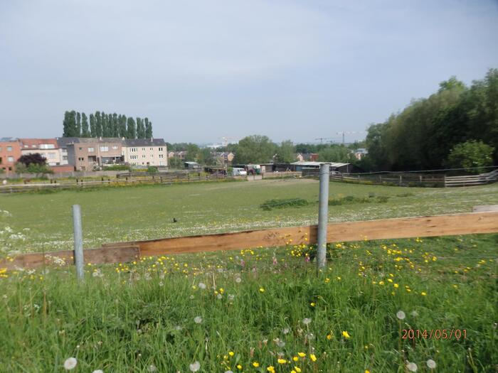 Petite marche du 1er mai ...