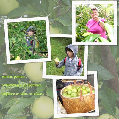 Blog de chipiron :Un chipiron dans les Landes, des pommes partout