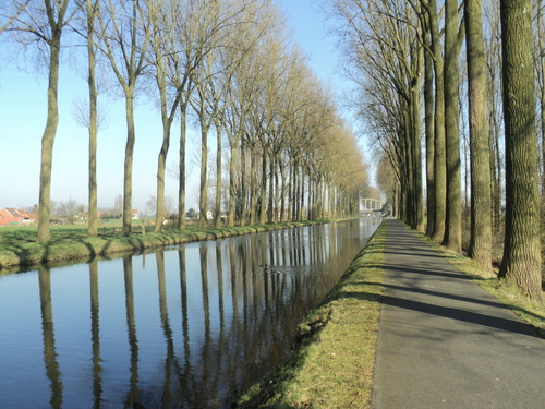  * Le long du canal de l'Espierre (3)