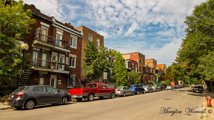 Montréal : Plateau du Mont-Royal 2/2