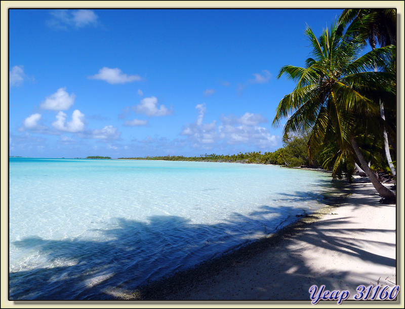 Le lagon bleu du motu Tehaetea - Atoll de Fakarava - Tuamotu - Polynésie française