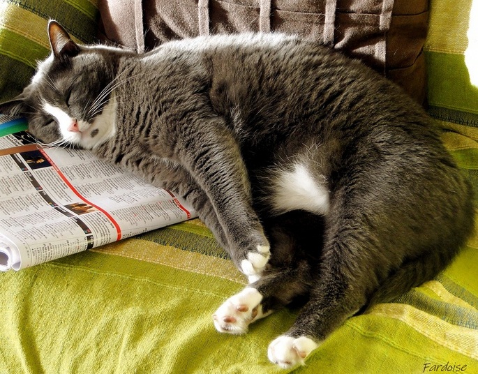 La lecture c'est épuisant !