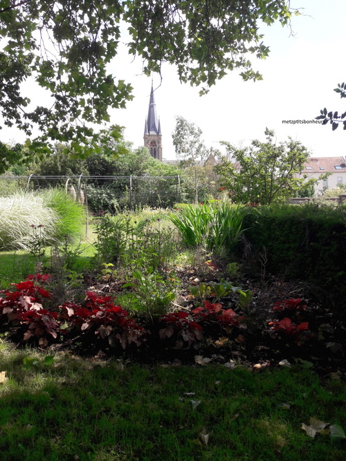 Retour au jardin botanique..