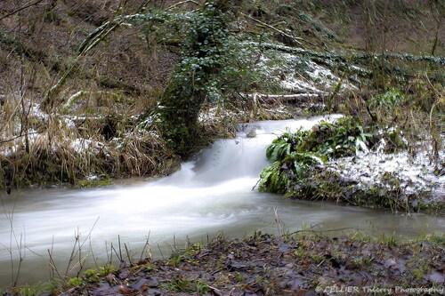 Un ruisseau en hiver ! - Saint jean de chevelu - savoie - Février 2019