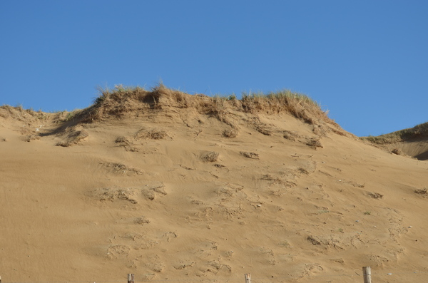 Elle est belle la Vendée !