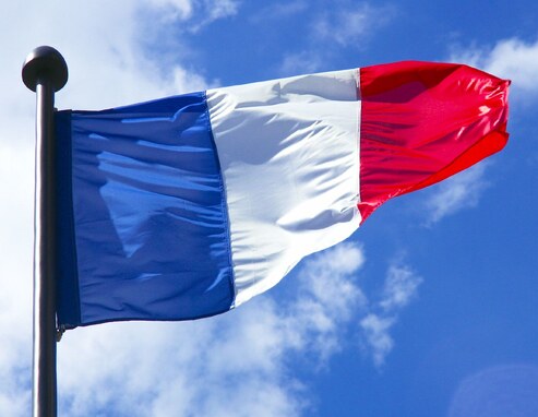 Vive la Republique ! Vive la France ! | Bruno's Flickr | Flickr