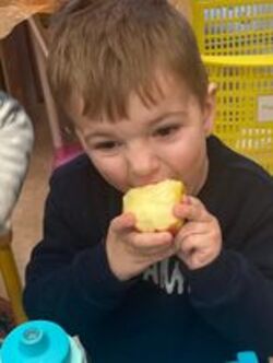 - Le fruit offert par l'école.