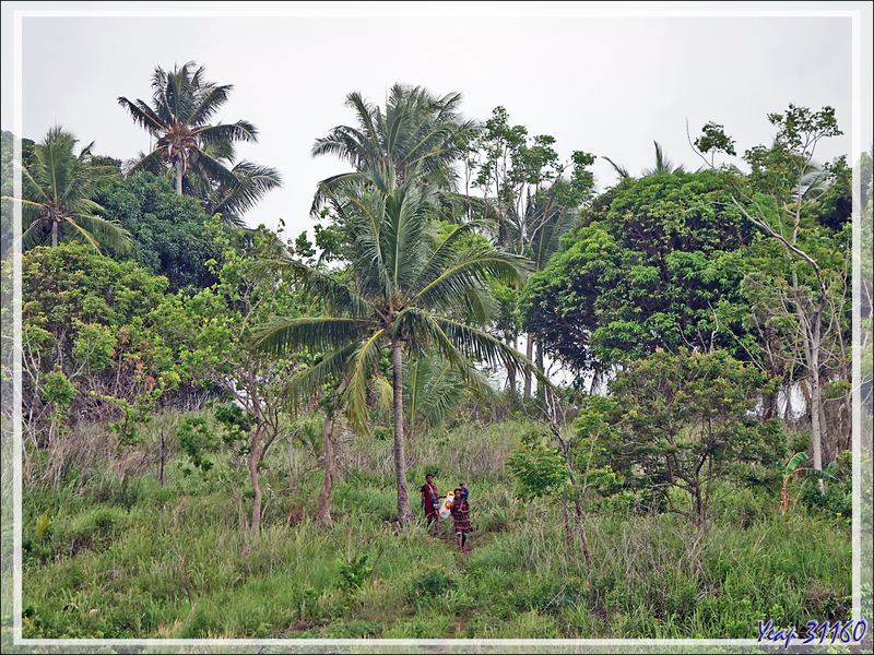 16/11/2023 : Débarquement à Tufi. Démonstration de chants et danses (appelée Sing Sing), balade en pirogue dans la mangrove - Maclaren Harbour - Province d'Oro - Papouasie Nouvelle-Guinée