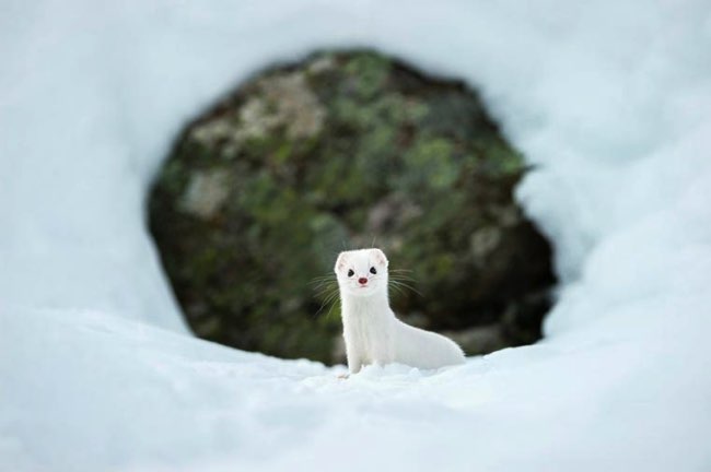 national geographic plus belle photos 2015 7 - 20 Photos Préférées du National Geographic sur Internet en 2015 national geographic plus belle photos 2015 7 - 20 Photos Préférées du National Geographic sur Internet en 2015