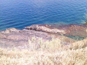 Baguenauder à Collioure