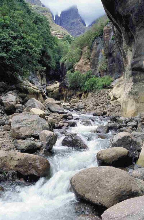 Patrimoine mondial de l'Unesco : Ukhahlamba - le parc du Drakensberg - Afrique du Sud