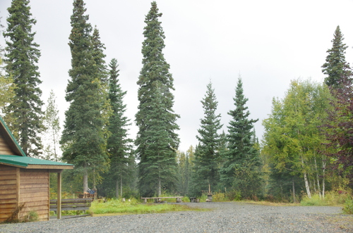 Jour 13 - Denali National Park