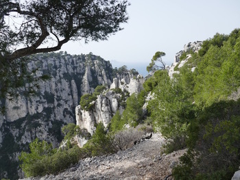 Sur le sentier