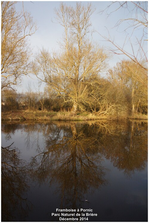 Parc Naturel de la Brière en Loire Atlantique