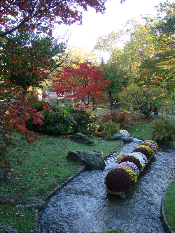 Le jardin japonais d'Hasselt (2)