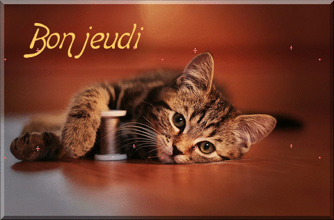 Gifs animés bon jeudi gratuits (créas).