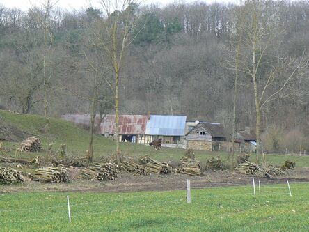 Le Bois de la Haie (En Février)