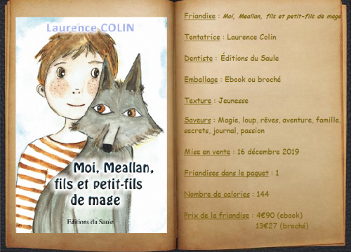 Moi, Meallan, fils et petit-fils de mage - Laurence Colin