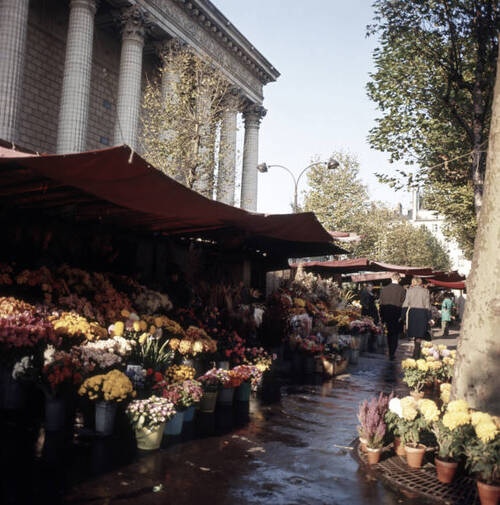 1960 env. Marché aux fleurs place de la Madeleine Paris - Charles Ciccione.jpg