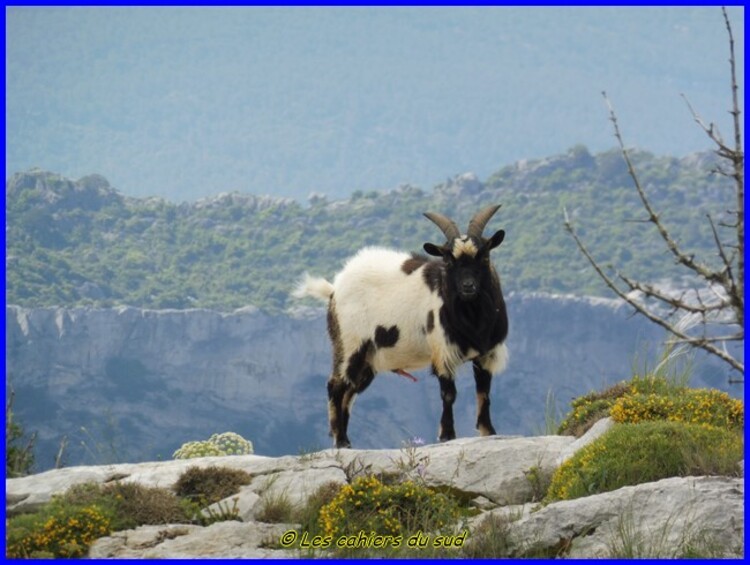 Sainte Baume la tour cauvin