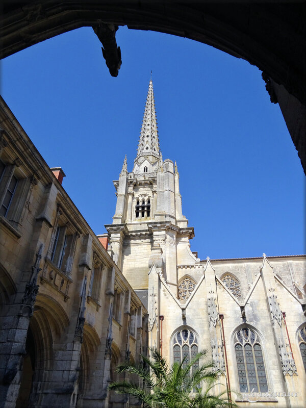 Cathédrale Notre Dame de l'Assomption- le Cloître