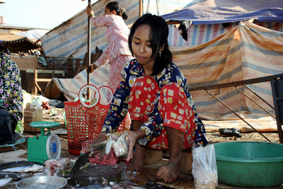Blog de images-du-pays-des-ours :Images du Pays des Ours (et d'ailleurs ...), Vendeuse de poissons - Marché de Banlung - Rattanakiri - Cambodge