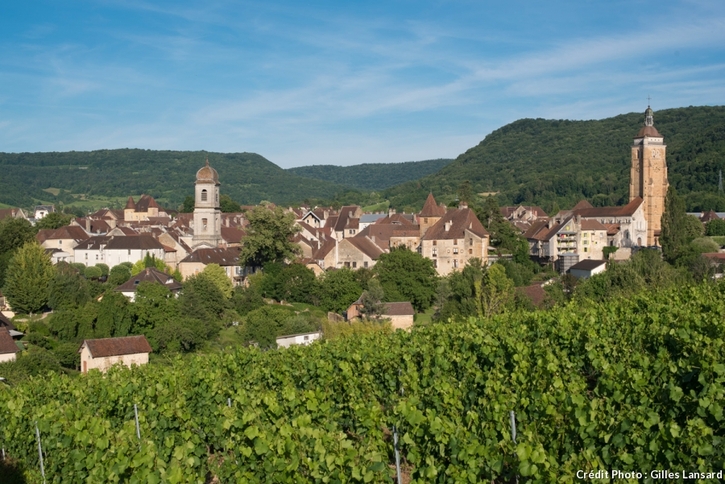 Panorama sur Arbois, depuis les vignes 