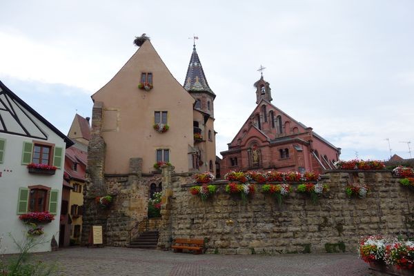 alsace 2014 23