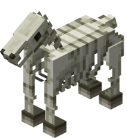 Cheval Squelette