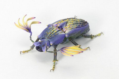 Hiroshi Shinno et ses insectes de l'étrange