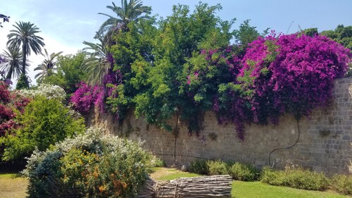 La lumière de l'après-midi à Rhodes