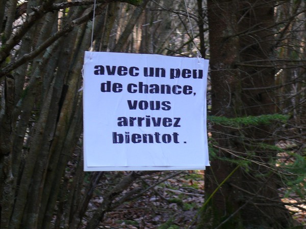 Une "chasse au Trésor enchantée" organisée par le GIP du futur Parc entre Champagne et Bourgogne a eu lieu en forêt châtillonnaise...