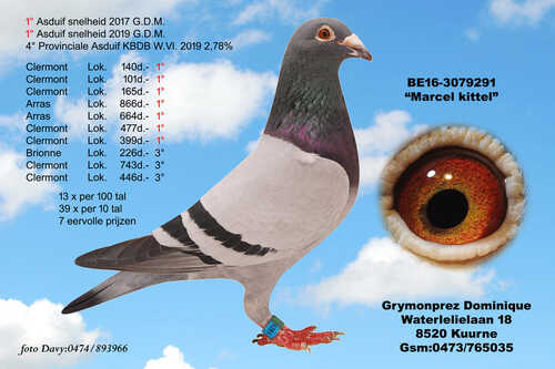 BON N°39 : Grymonprez Dominique de Kuurne offre un pigeonneau