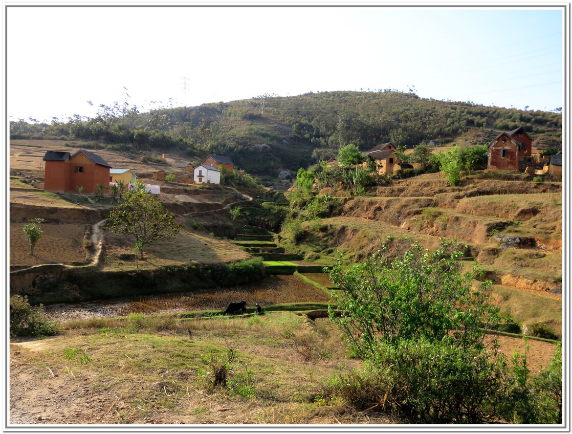 DES  PAYSAGES  MALGACHE  2016