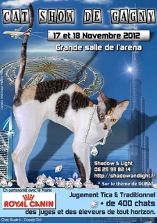 ► Expo de Gagny 11/2012